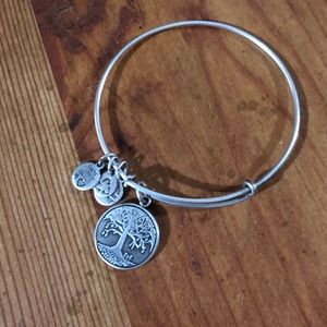 Alex & Ani ‘growth’ bangle